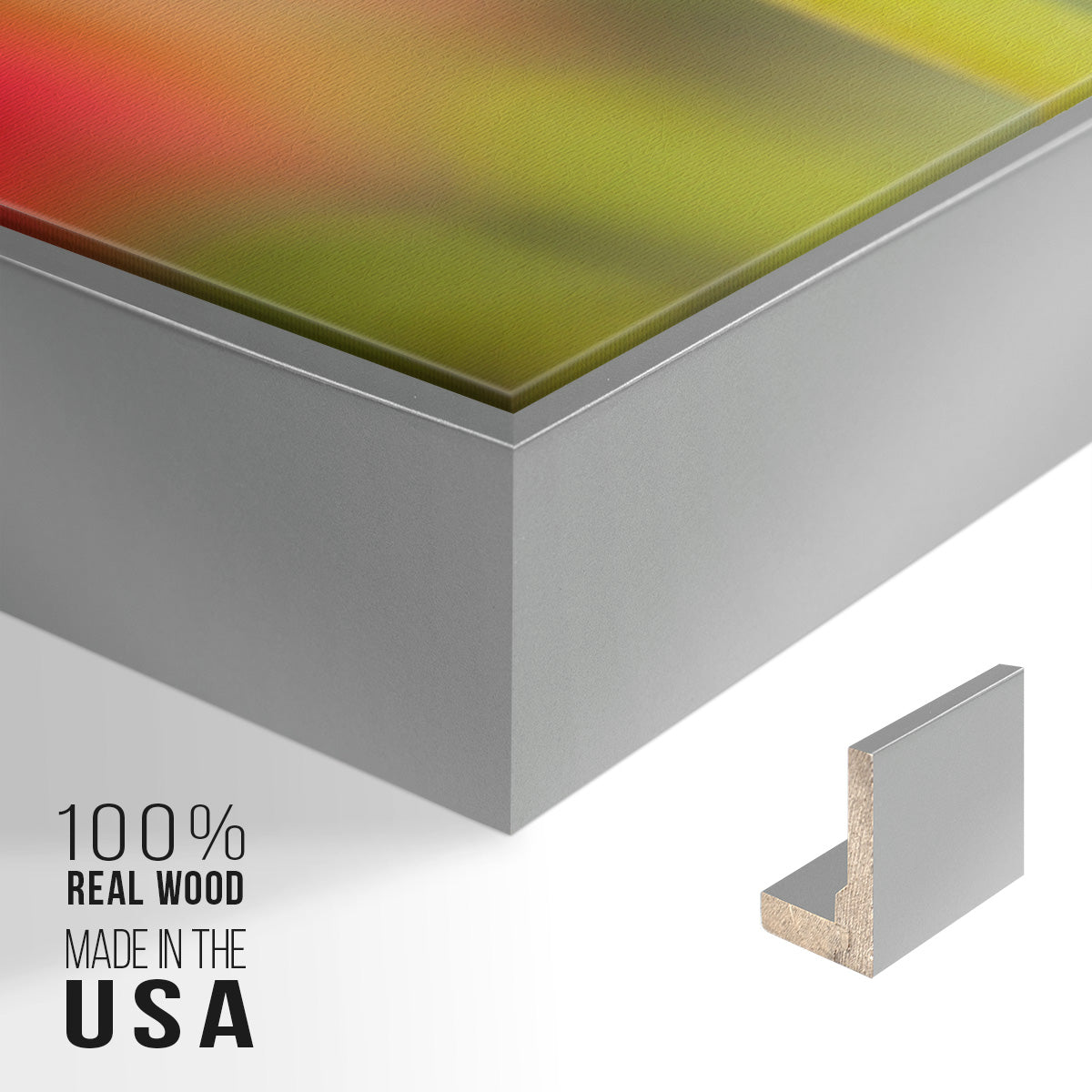 Twotone Tulip -  Framed Canvas Print