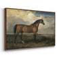 Eagle, A Celebrated Stallion, 1809 - Floater Framed Canvas Print