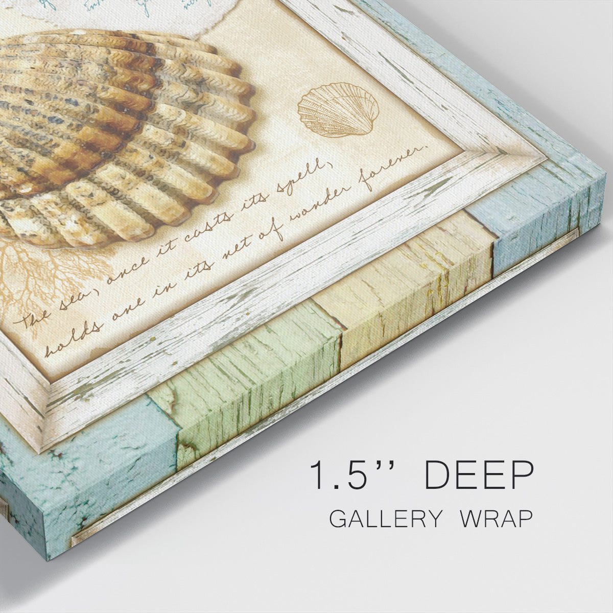 Sea Treasures V-Premium Gallery Wrapped Canvas - Ready to Hang