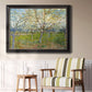 Orchard With Blossoming Apricot Trees - Ornate Framed Canvas Print
