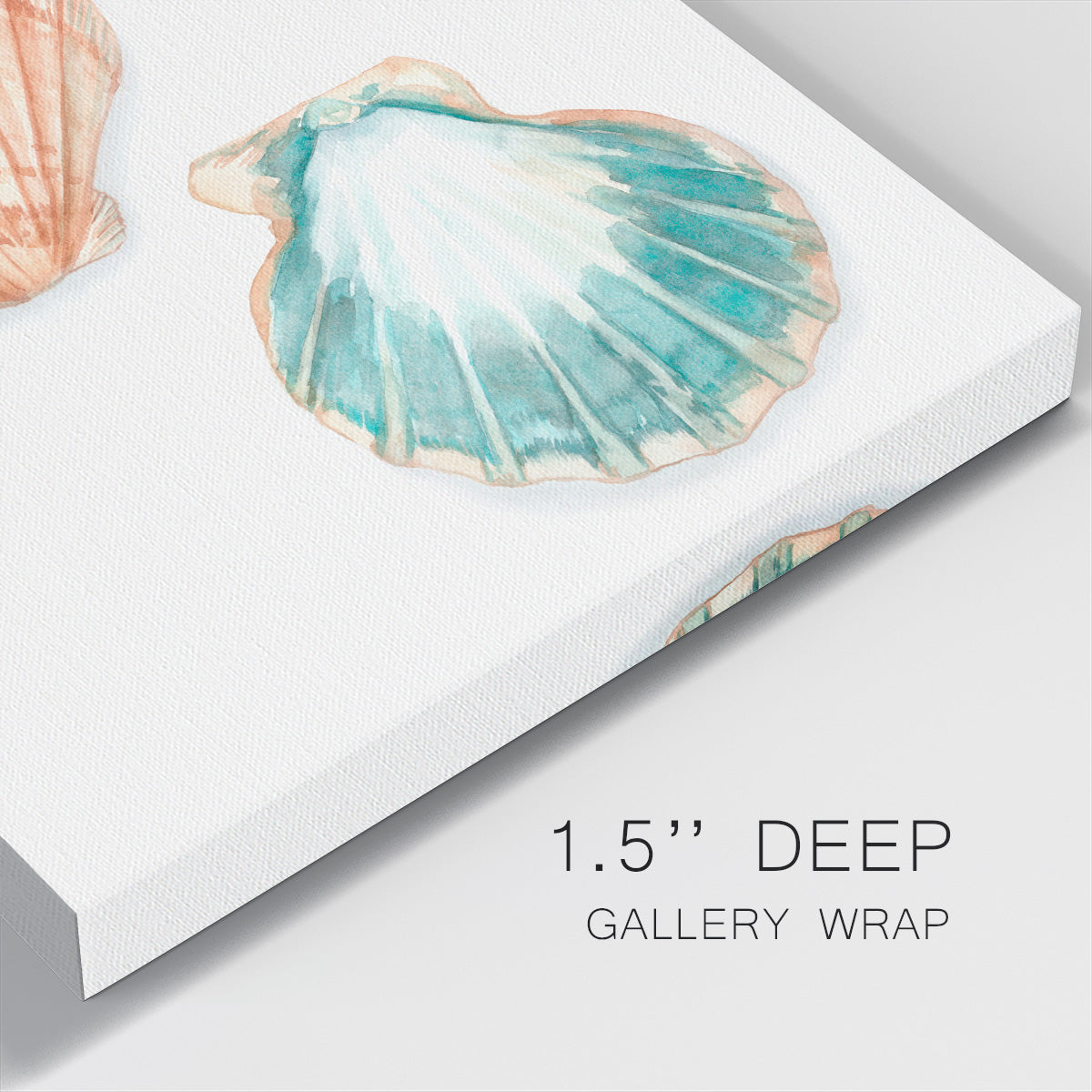 Watercolor Shells I-Premium Gallery Wrapped Canvas - Ready to Hang