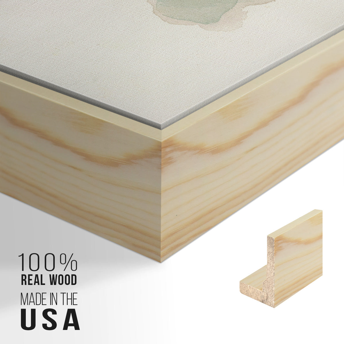 Succulent I -  Framed Canvas Print