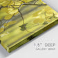 Close-up view of wrapped canvas corner featuring backlit aspen trees photograph.