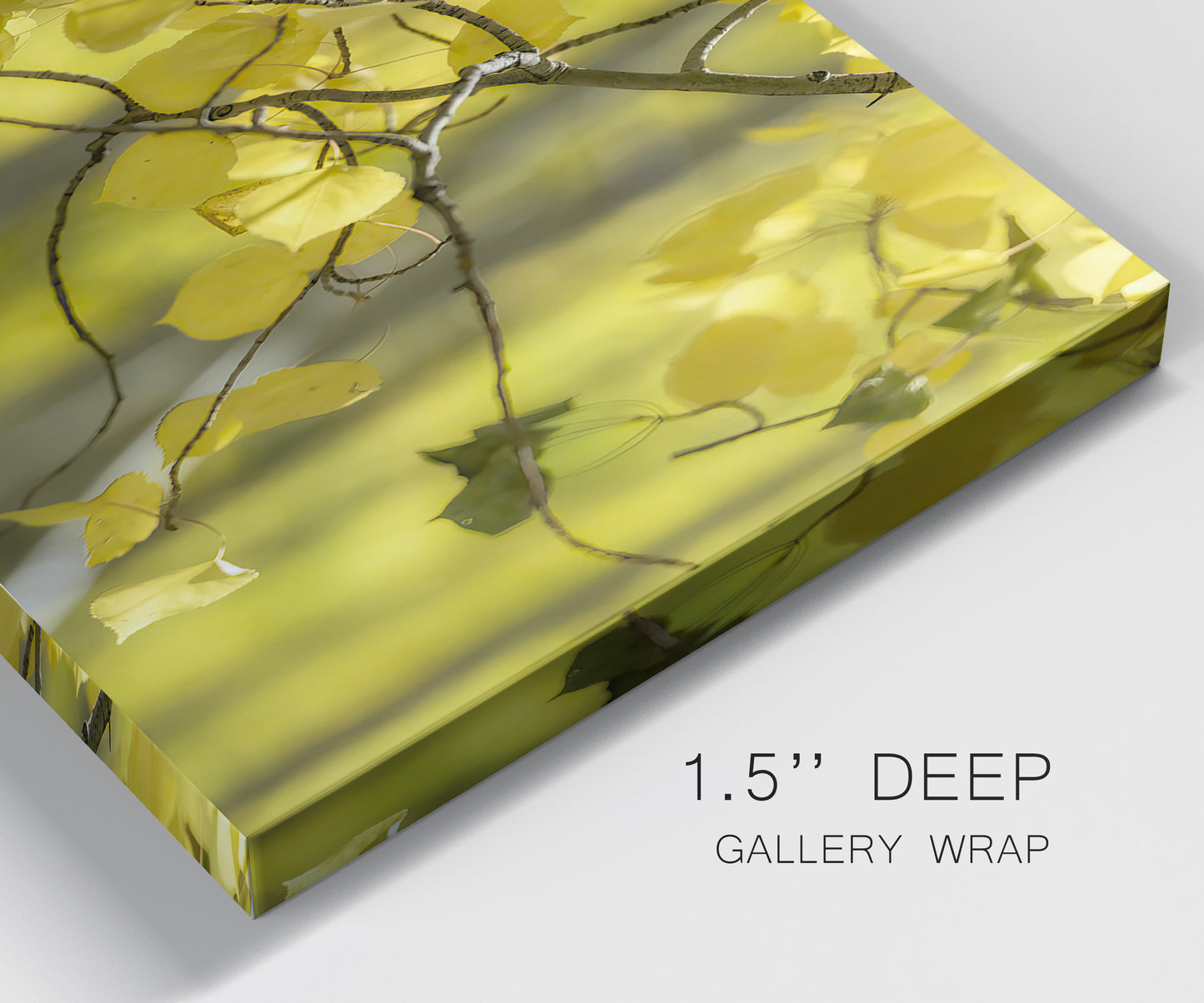 Close-up view of wrapped canvas corner featuring backlit aspen trees photograph.