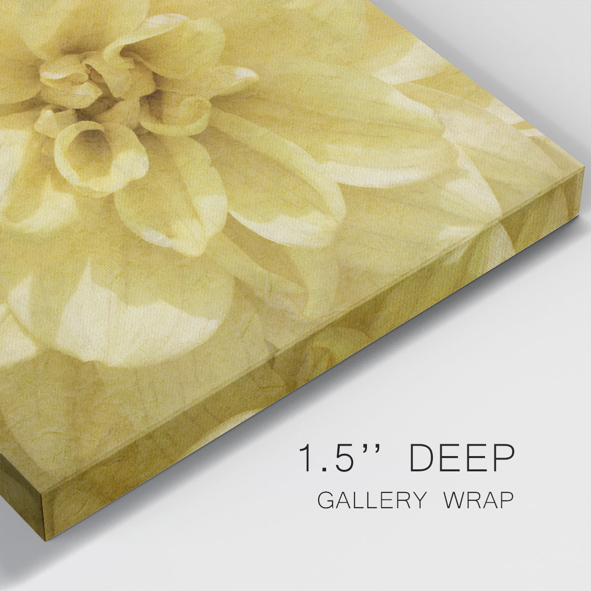 Wall Flower II-Premium Gallery Wrapped Canvas - Ready to Hang