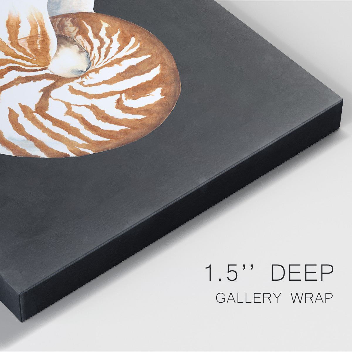 Graphic Nautilus Premium Gallery Wrapped Canvas - Ready to Hang