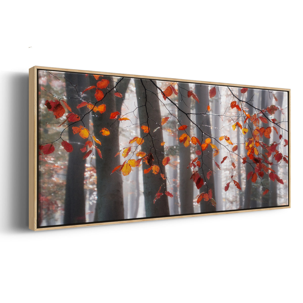 Falling Moments - Floater Framed Canvas Print