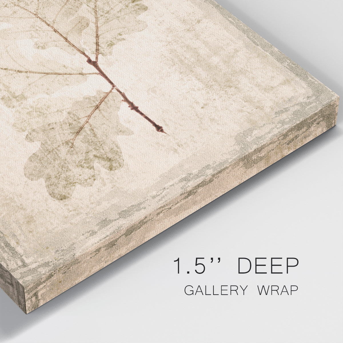 Stone Leaf III - Canvas Art Print