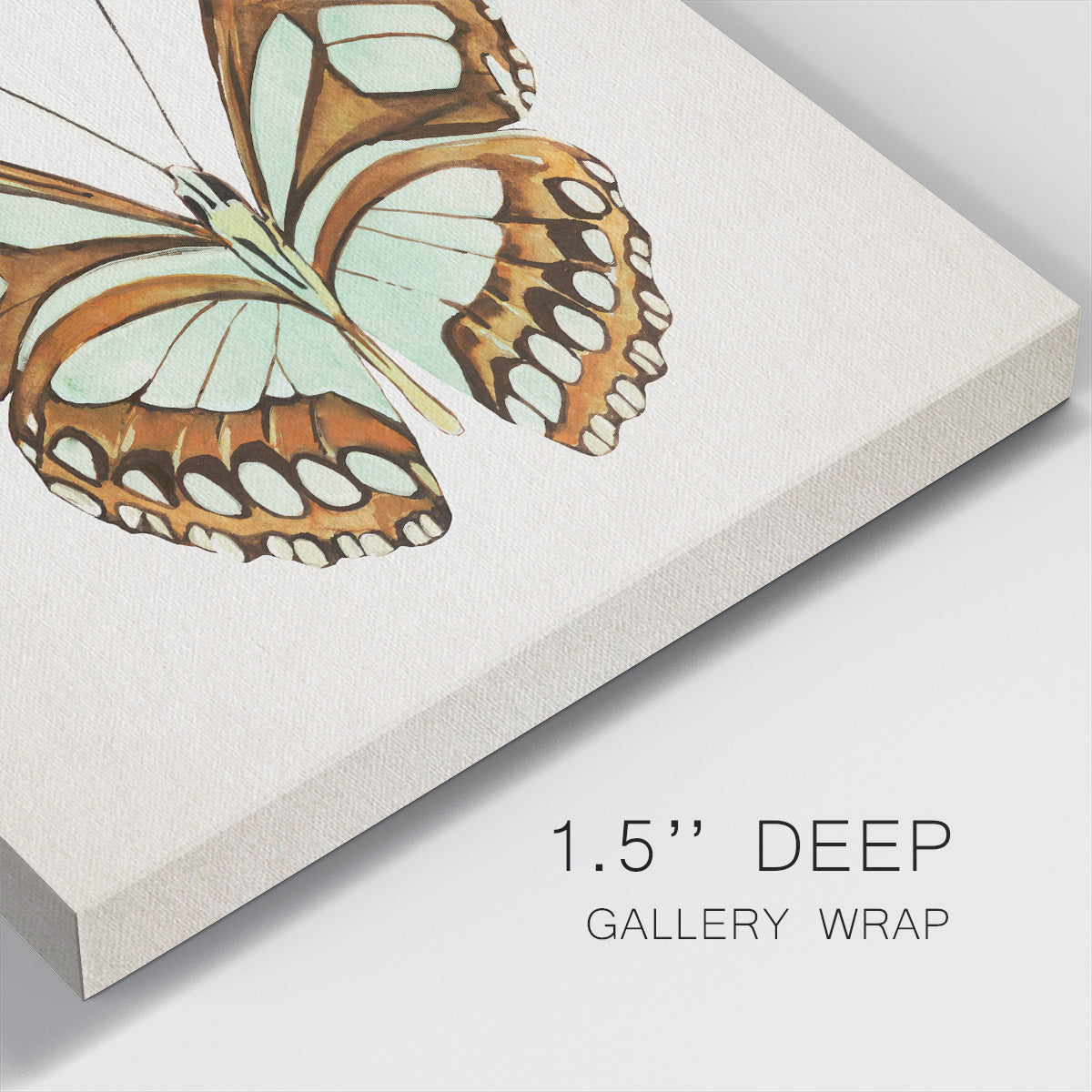 Mint Butterfly I - Canvas Art Print