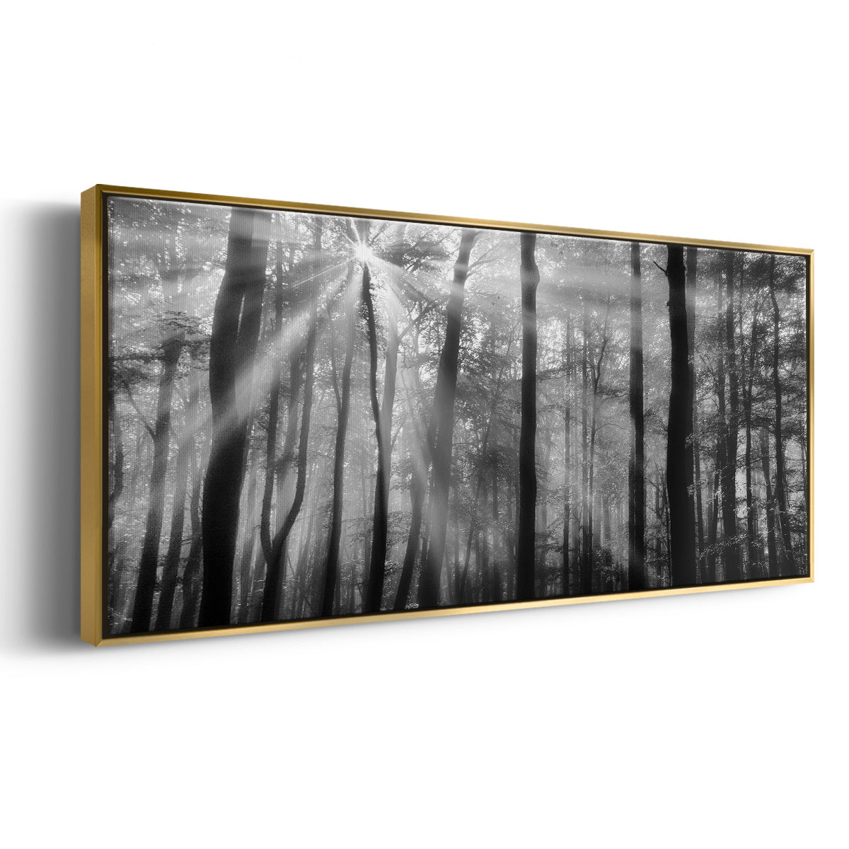 Breaking Through - Floater Framed Canvas Print