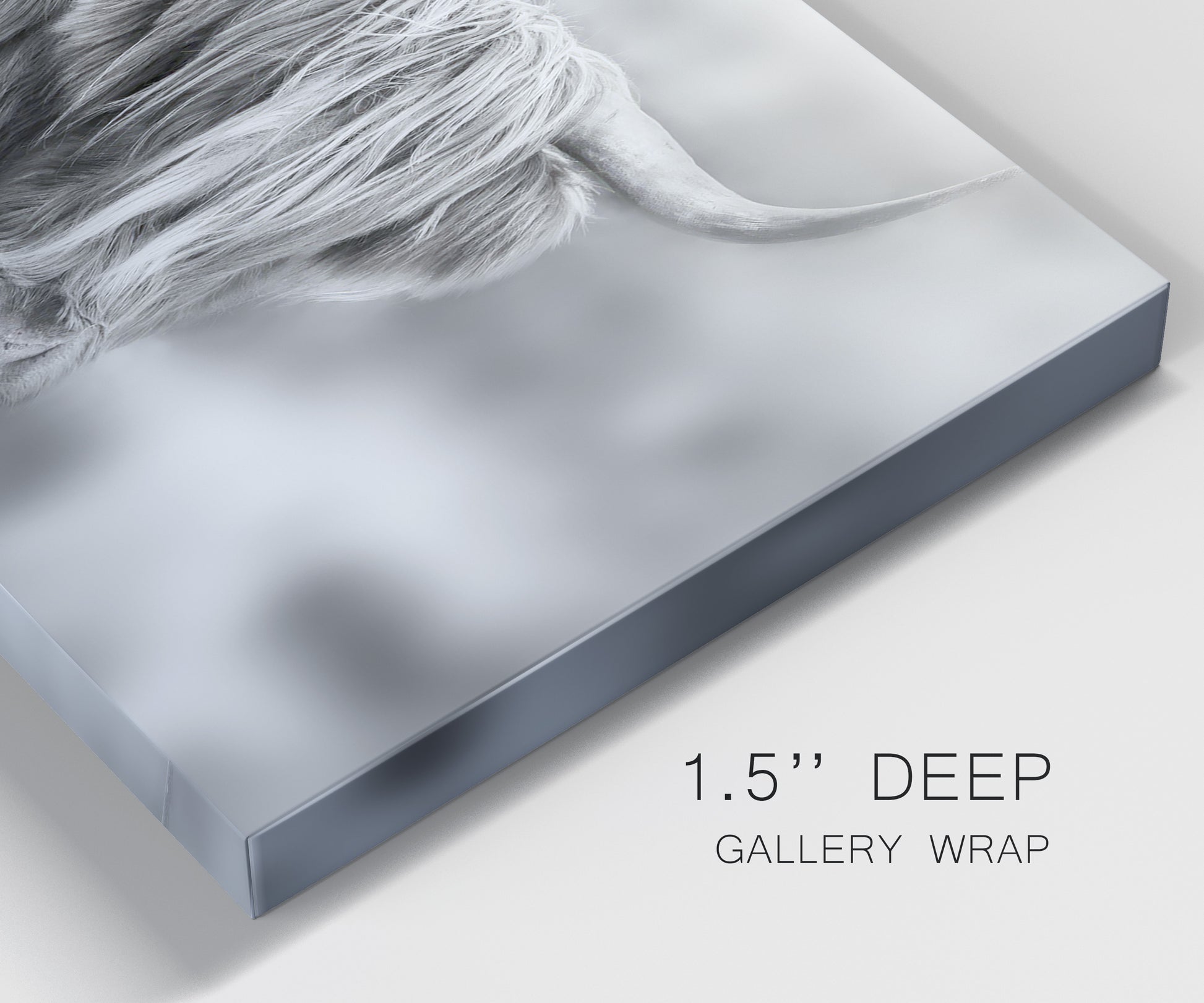 Close-up view of wrapped canvas corner featuring large highland cow portrait.