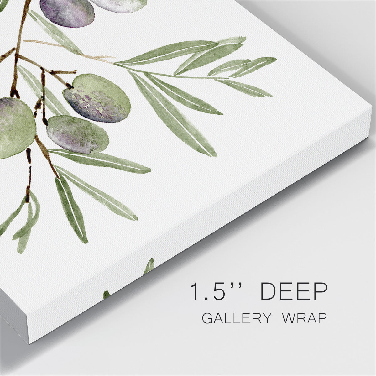 Olive Branch I - Canvas Art Print