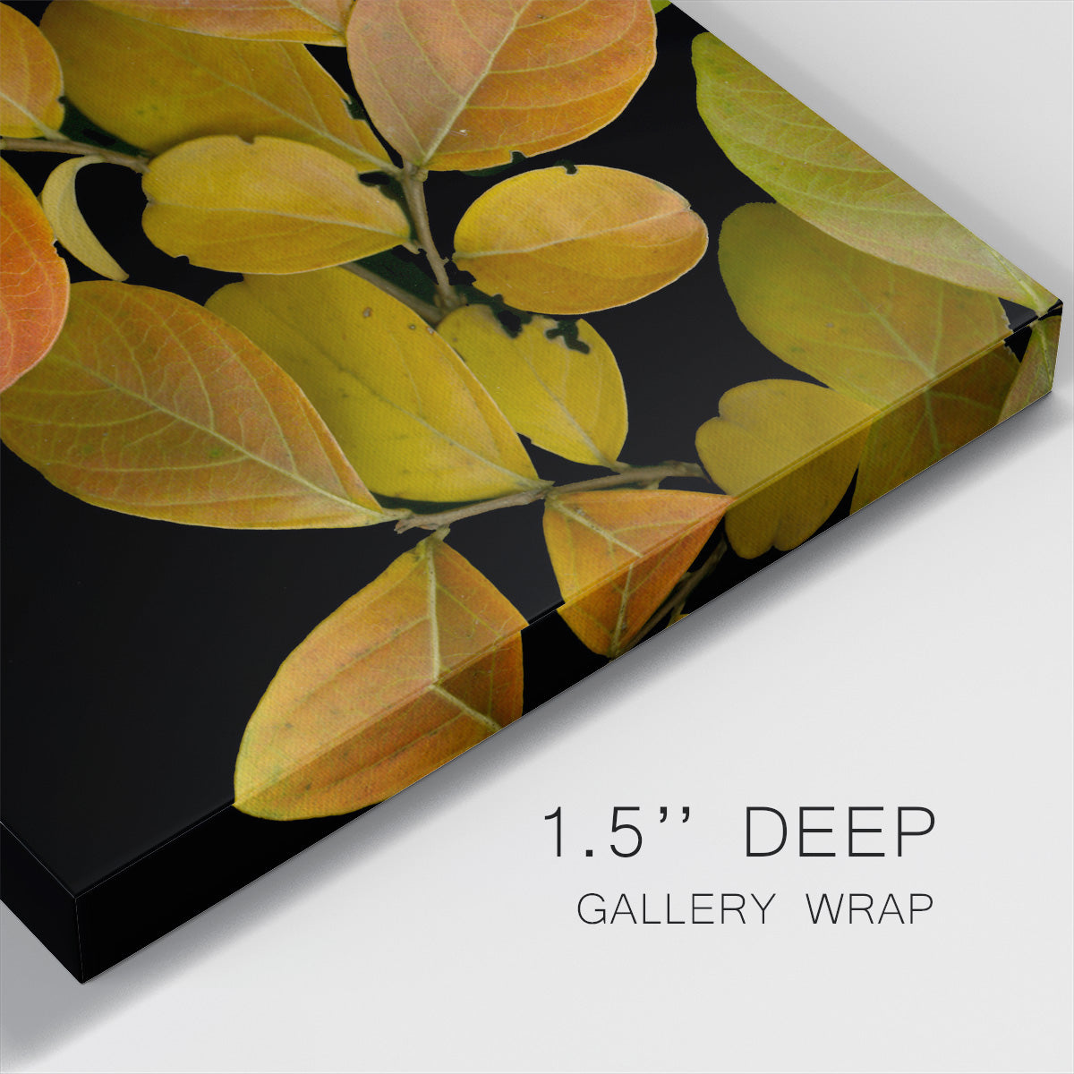 Small Vivid Leaves I (ST) - Canvas Art Print