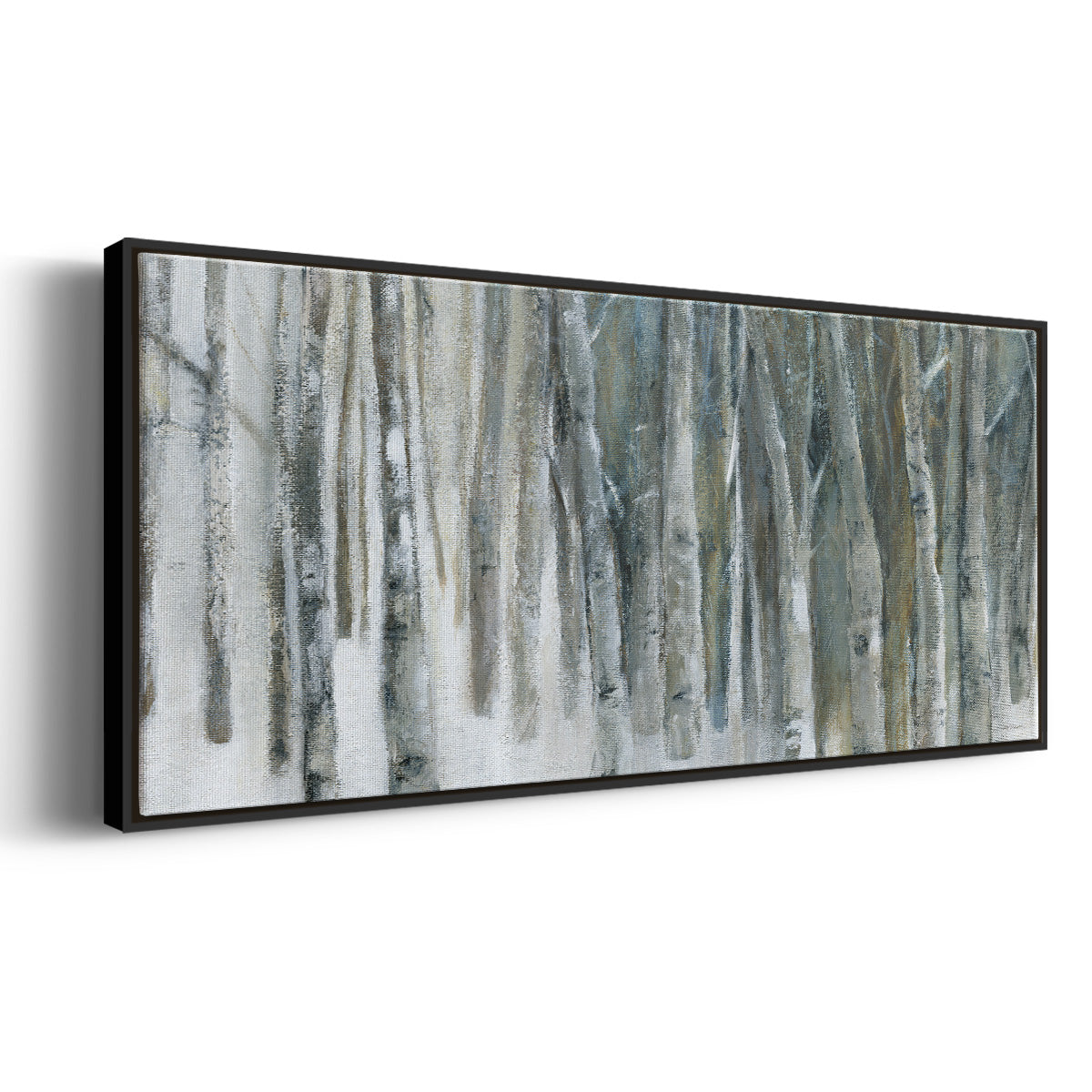 Banff Birch Grove - Floater Framed Canvas Print