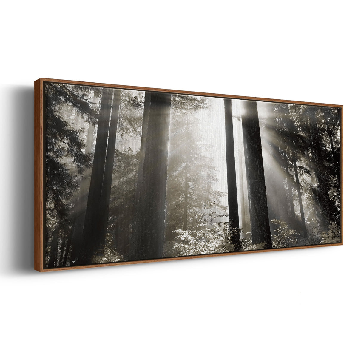 Morning Light - Floater Framed Canvas Print