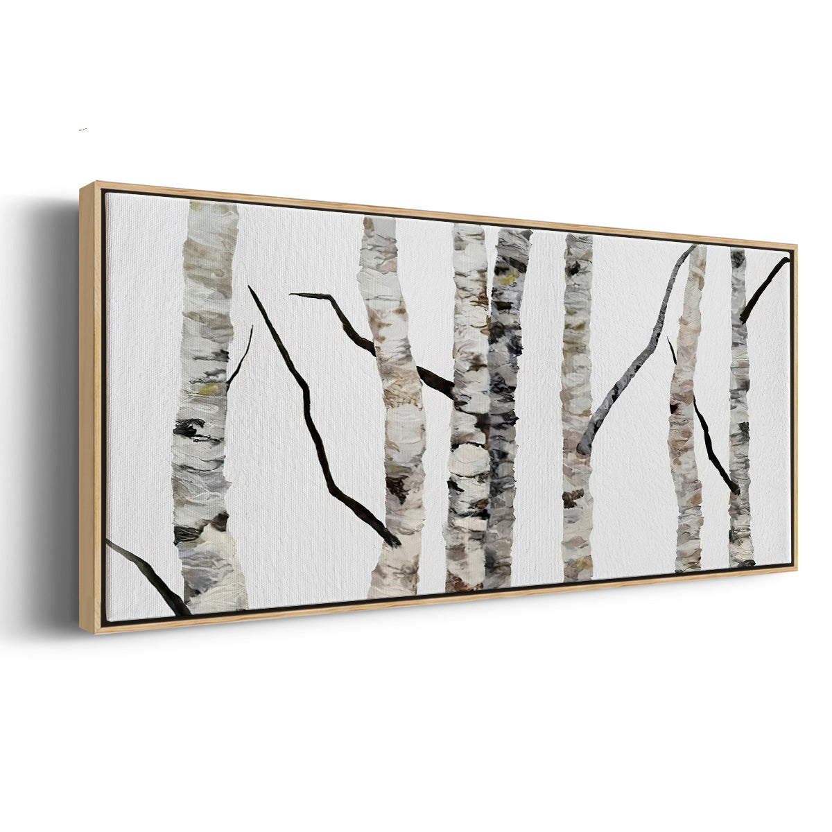 Birch Trees II - Floater Framed Canvas Print