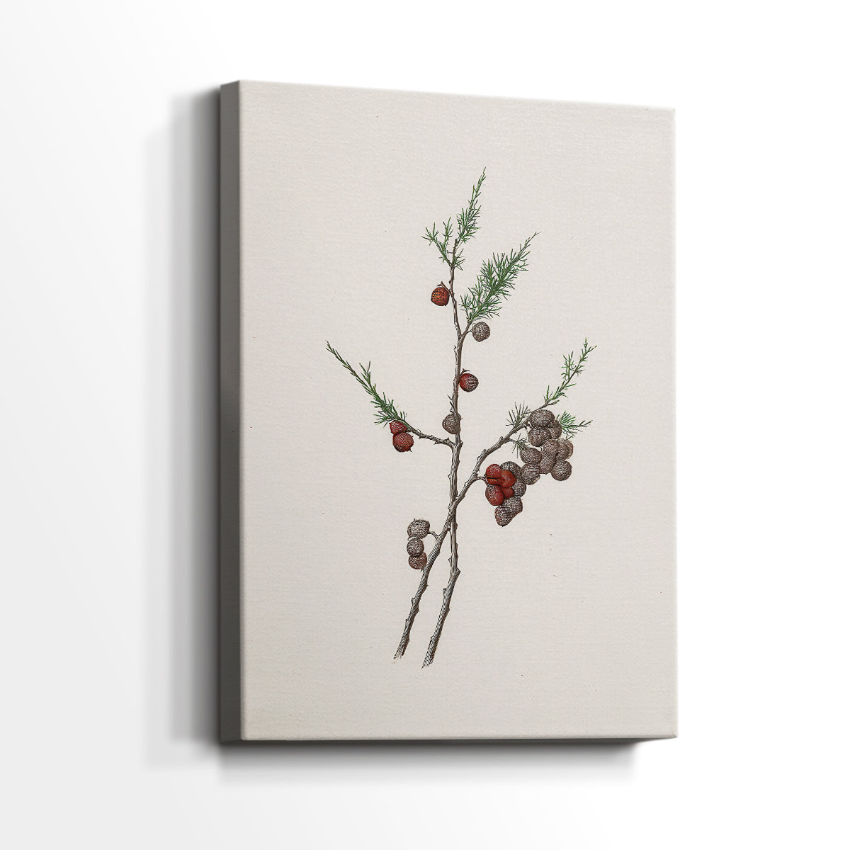 Silver Candle Serenade - Canvas Art Print