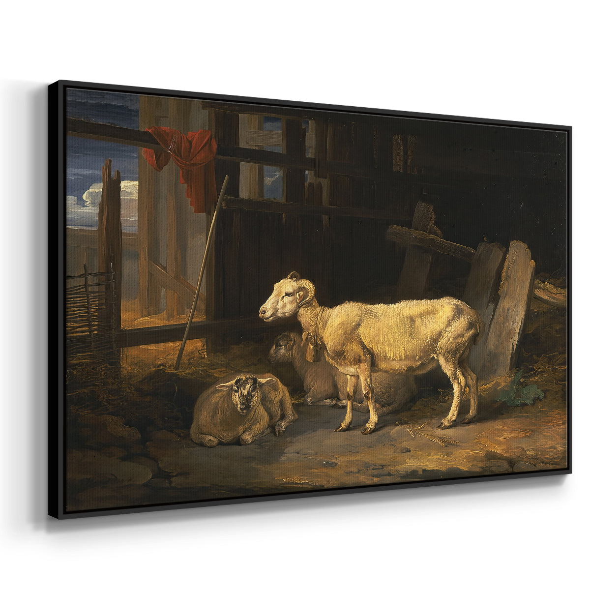 Sheep in a Stable, 1810 - Floater Framed Canvas Print