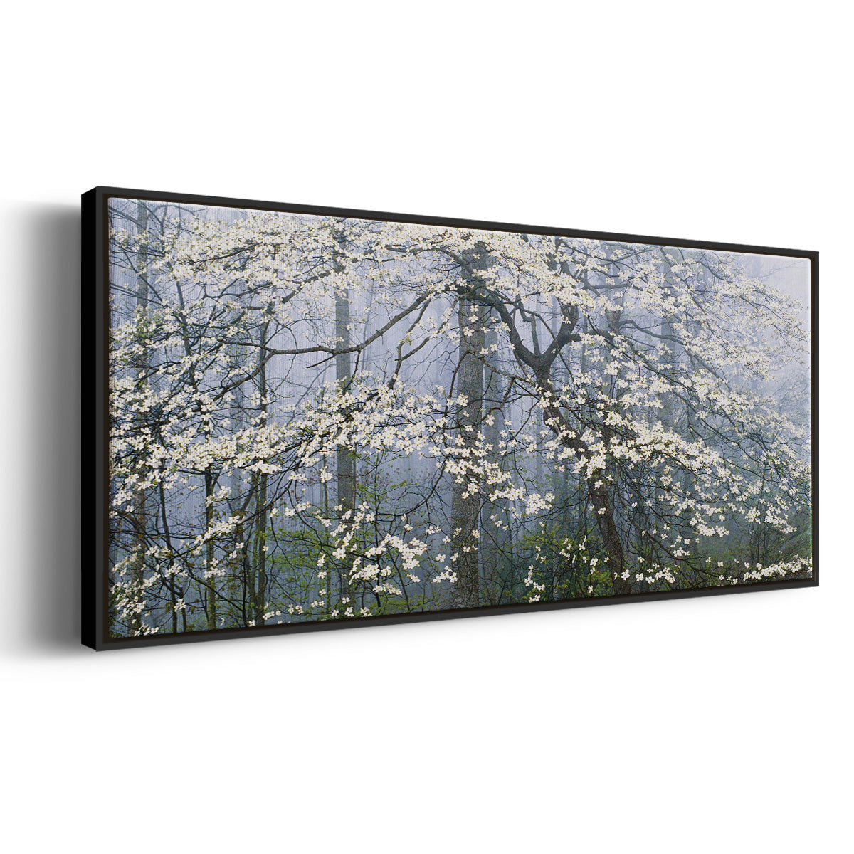 Dogwood Canopy - Floater Framed Canvas Print