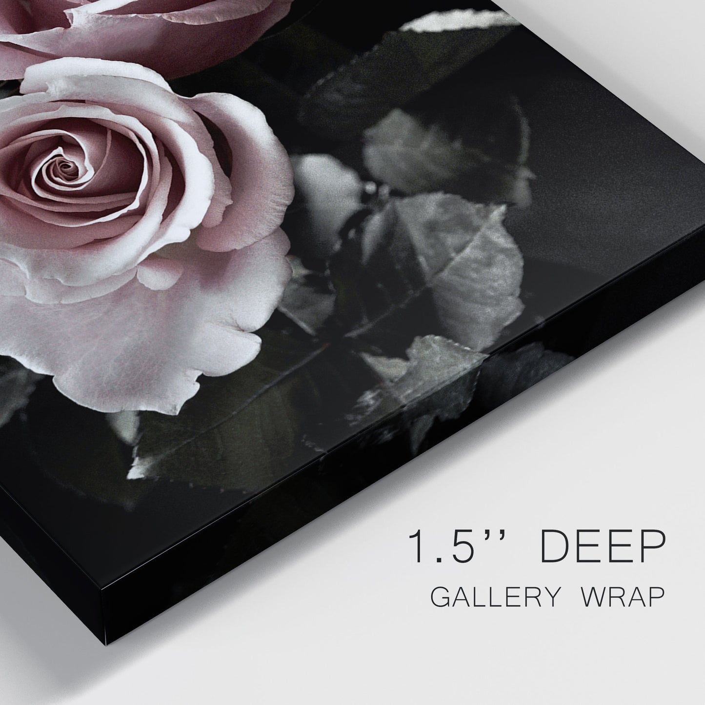 Rose Noir I Premium Gallery Wrapped Canvas - Ready to Hang - Set of 2 - 8 x 12 Each