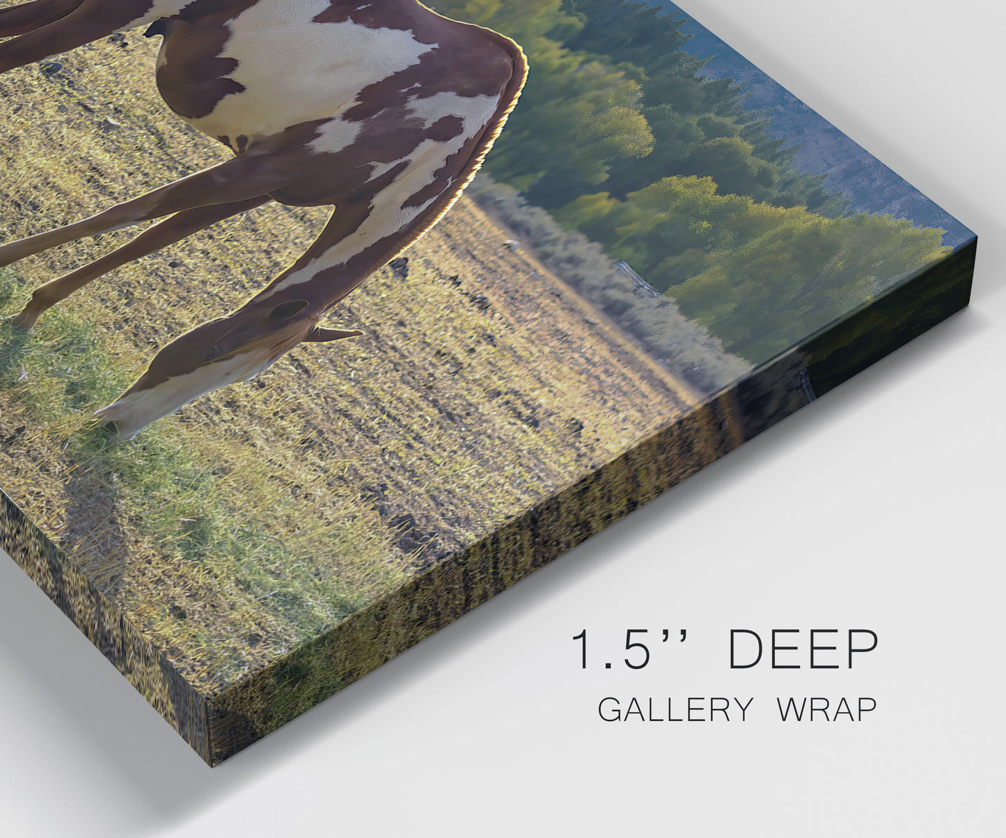 Close-up view of wrapped canvas corner featuring horses standing near farmhouse.