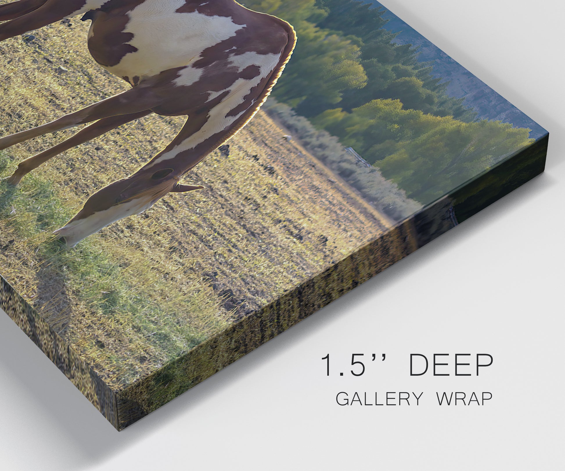 Close-up view of wrapped canvas corner featuring horses standing near farmhouse.