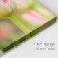 Twotone Tulip Premium Gallery Wrapped Canvas - Ready to Hang