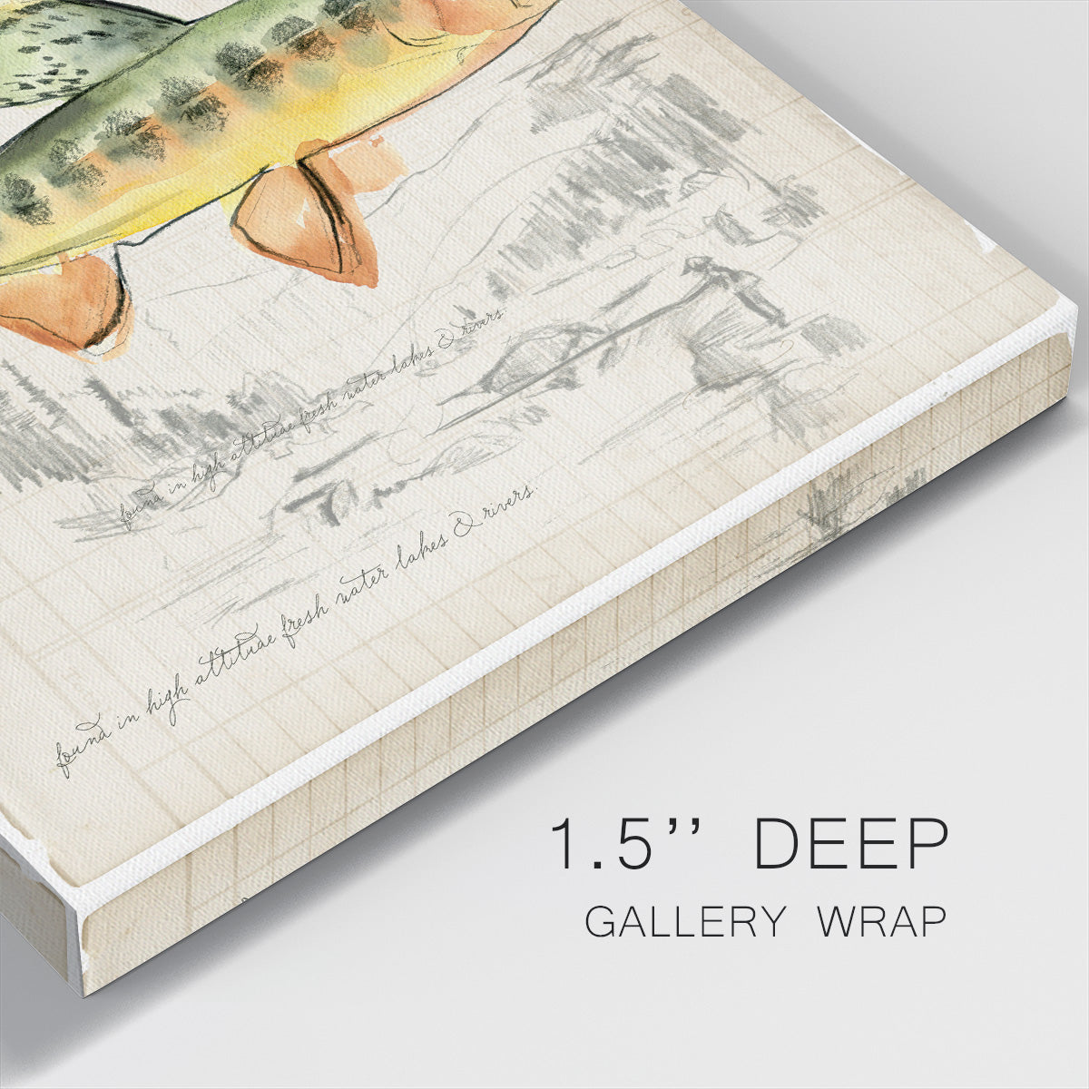 Trout Journal IV-Premium Gallery Wrapped Canvas - Ready to Hang