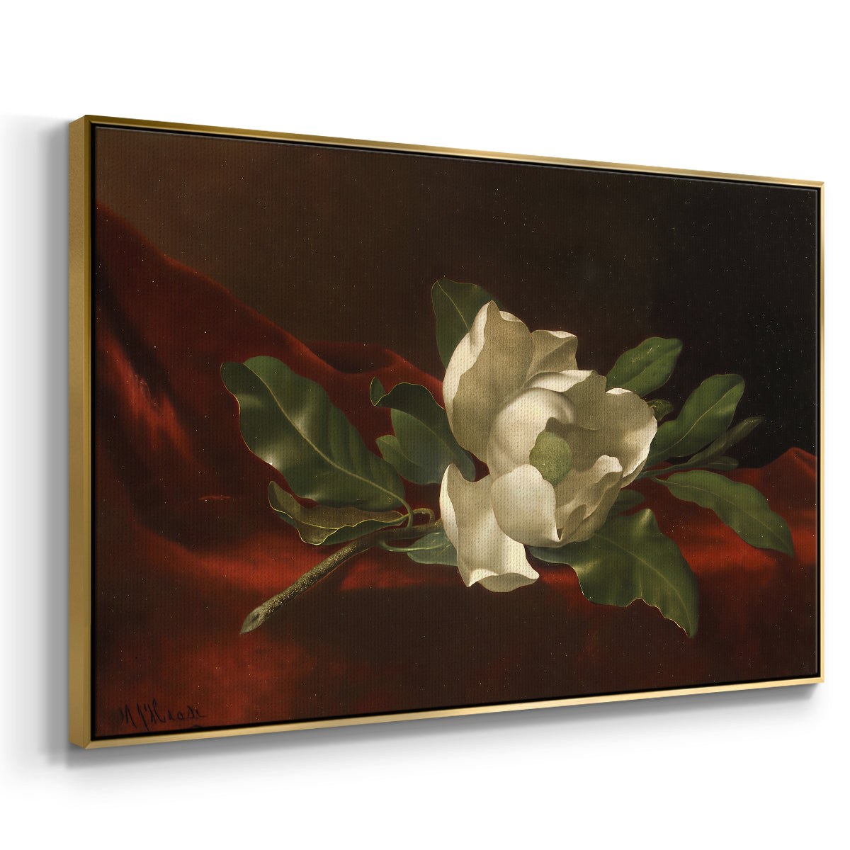 Magnolia on Red Velvet, c. 1885-1890 - Floater Framed Canvas Print