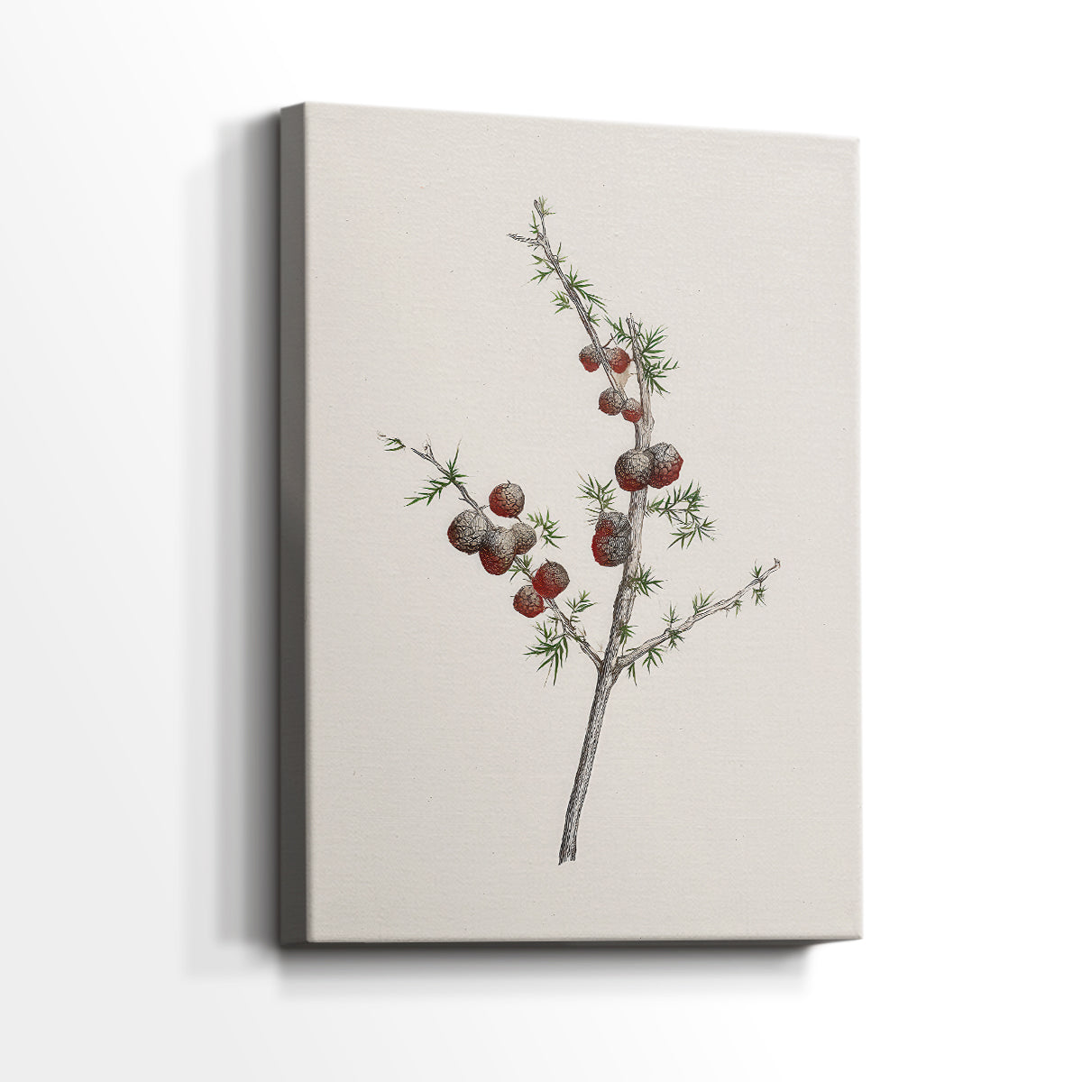 Twilight of Pearled Nativity - Canvas Art Print