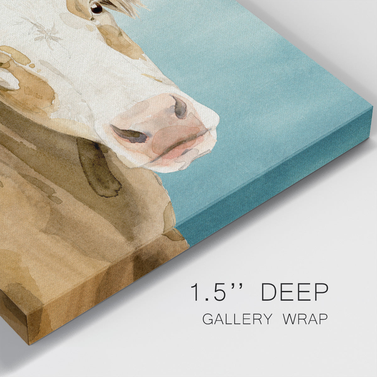 Hereford Stare I-Premium Gallery Wrapped Canvas - Ready to Hang