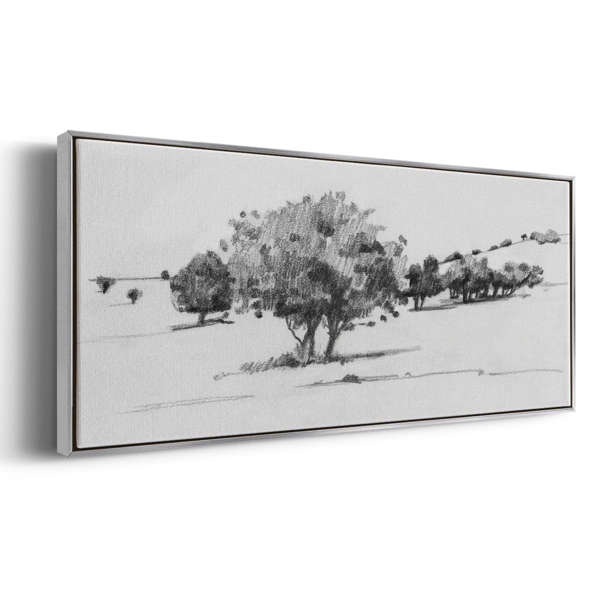 Treeline Sketch I - Floater Framed Canvas Print
