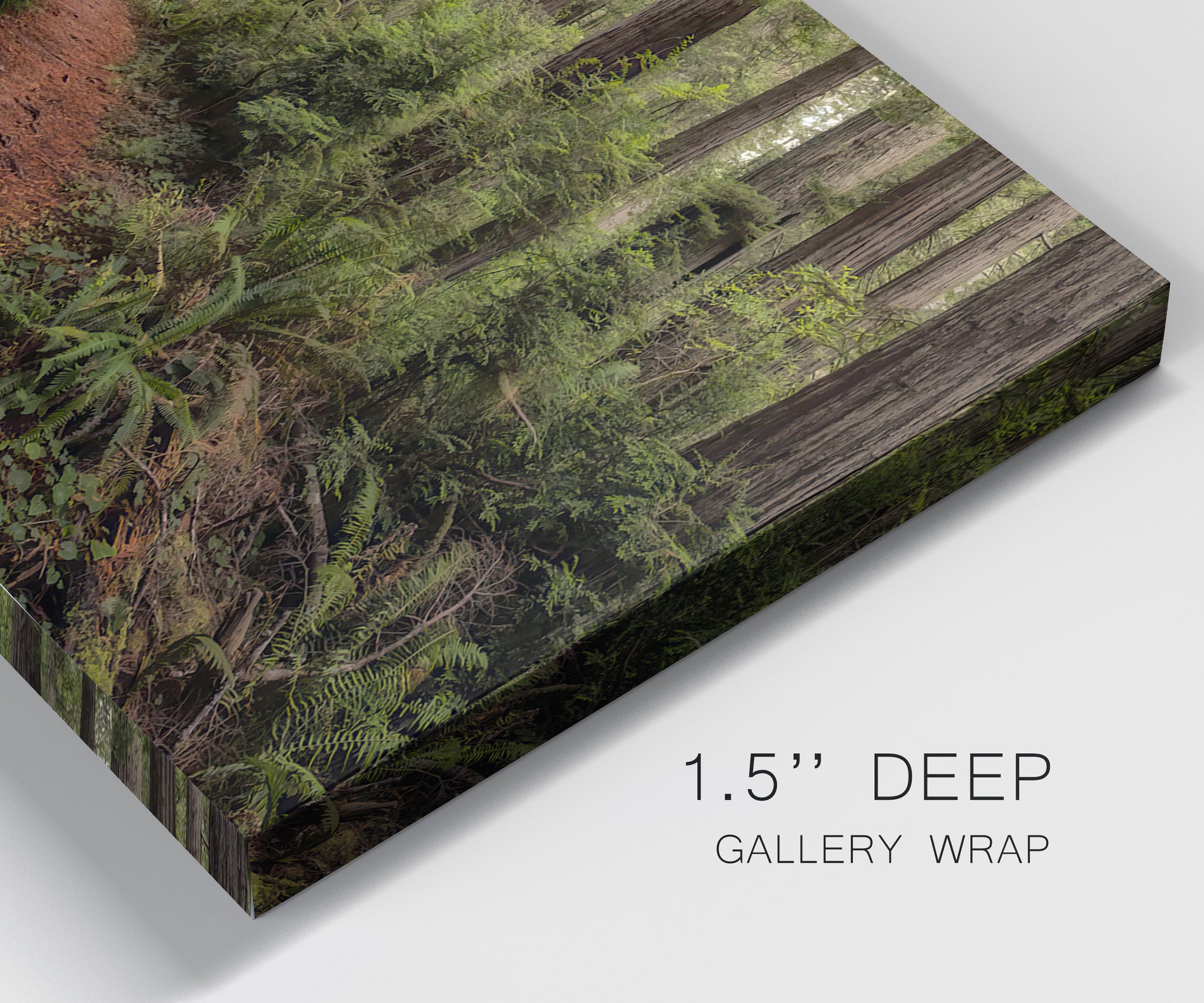 Close-up view of wrapped canvas corner featuring forest trail landscape photograph.