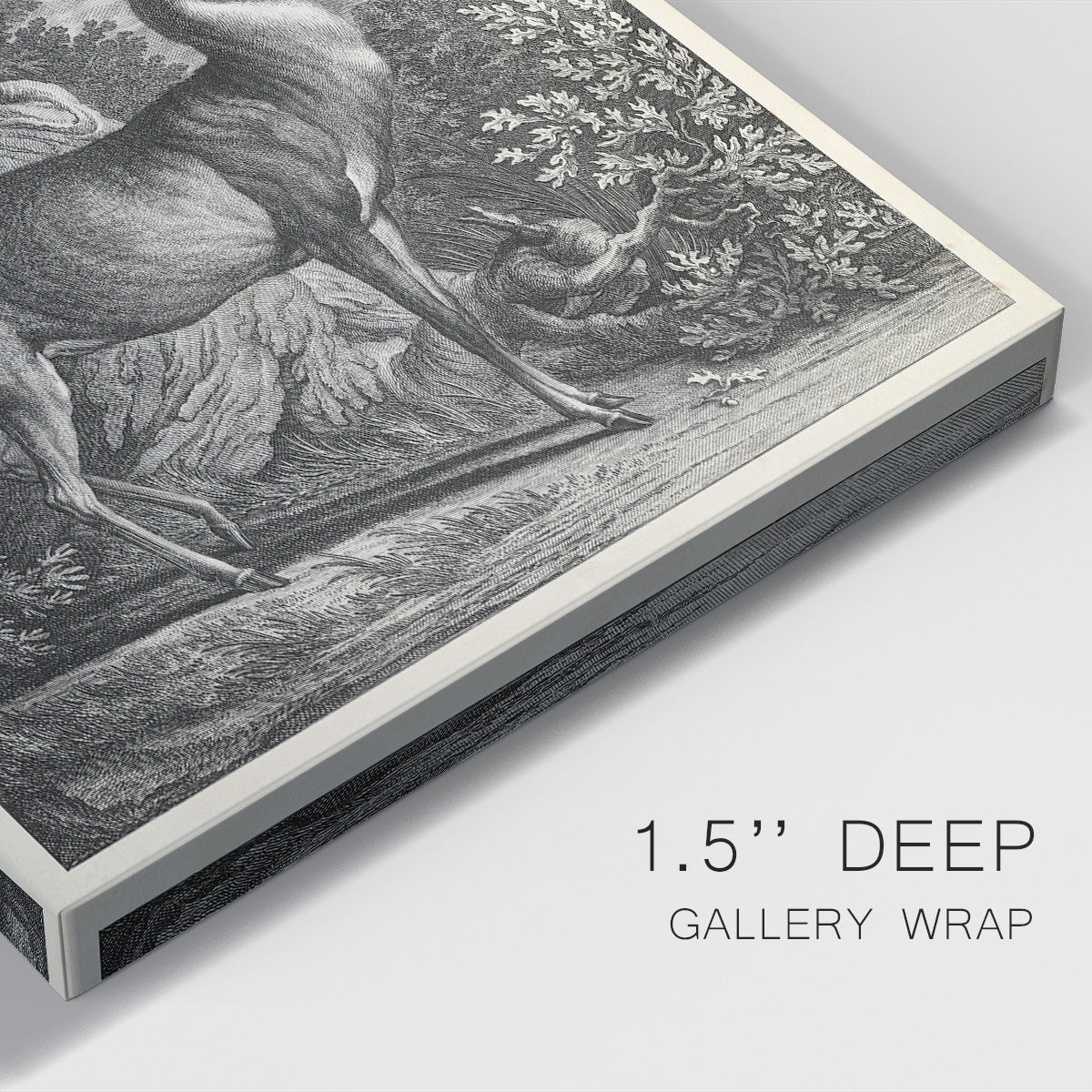 Woodland Deer I Premium Gallery Wrapped Canvas - Ready to Hang