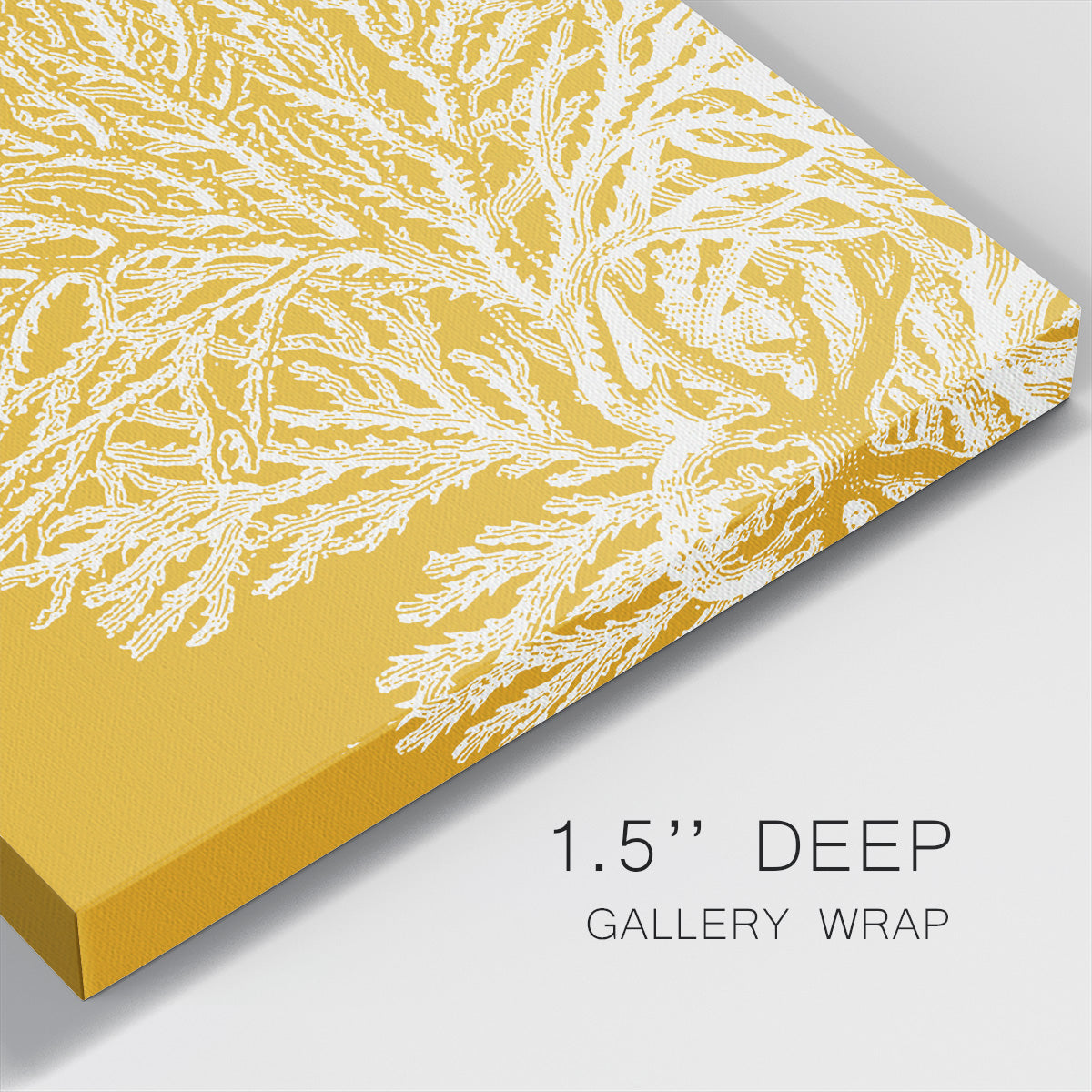 Saturated Coral I - Canvas Art Print