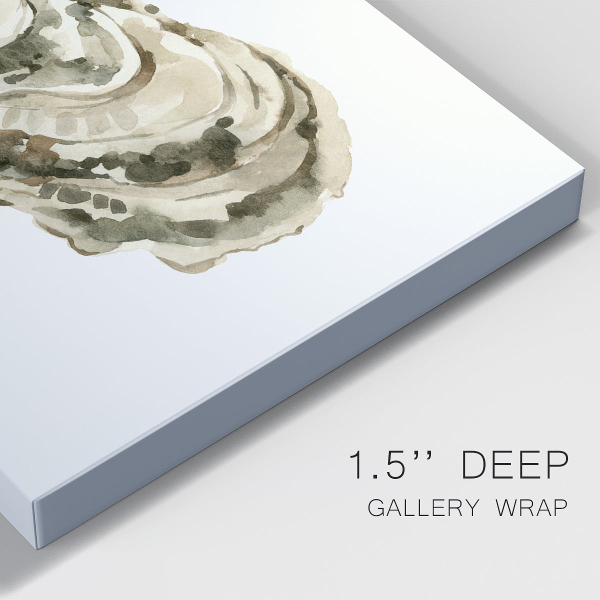 Neutral Oyster Study III  Premium Gallery Wrapped Canvas - Ready to Hang