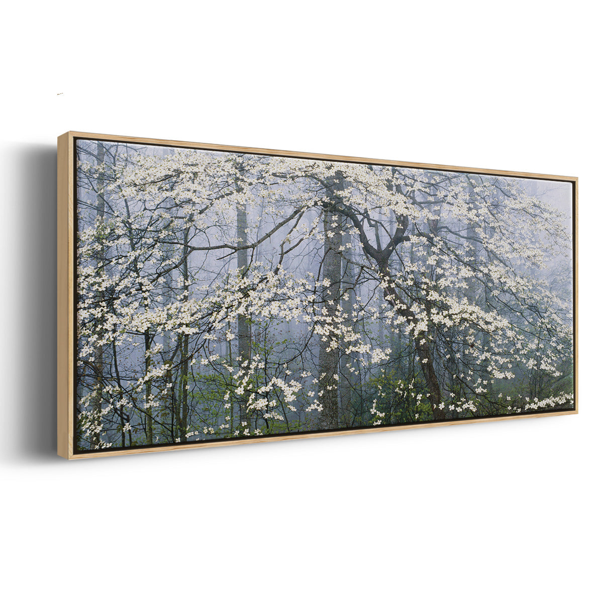 Dogwood Canopy - Floater Framed Canvas Print