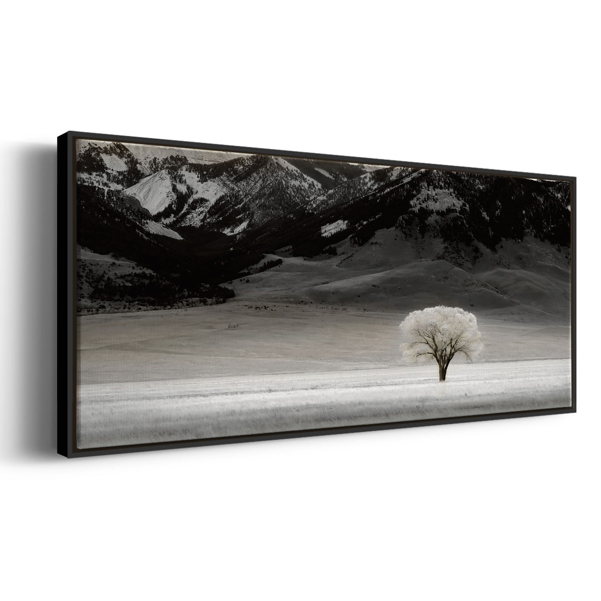 Solitary Tree - Floater Framed Canvas Print