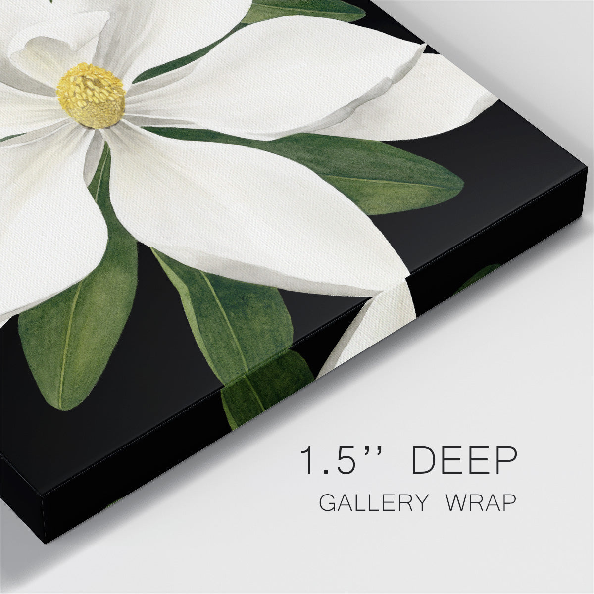 Midnight Magnolia I - Canvas Art Print