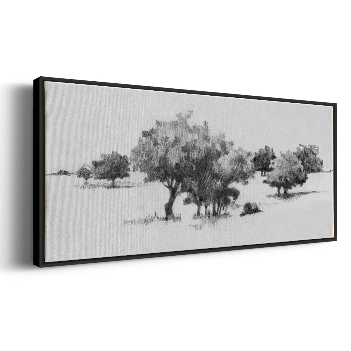 Treeline Sketch II - Floater Framed Canvas Print