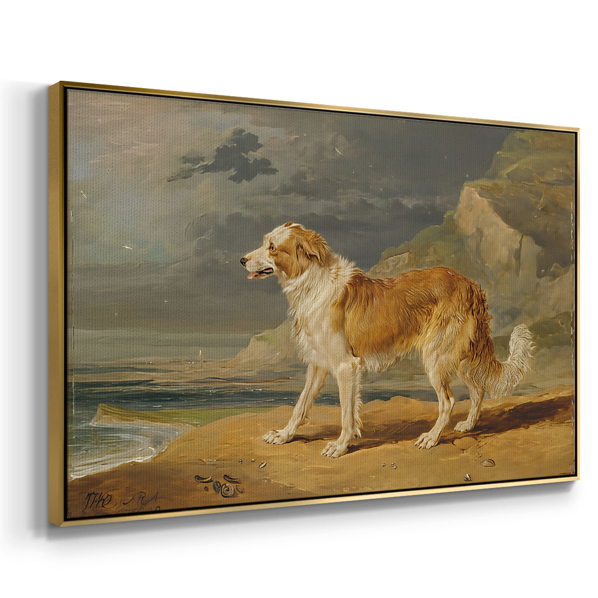 Rough-Coated Collie, 1809 - Floater Framed Canvas Print