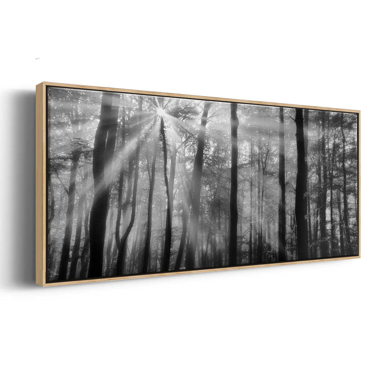 Breaking Through - Floater Framed Canvas Print