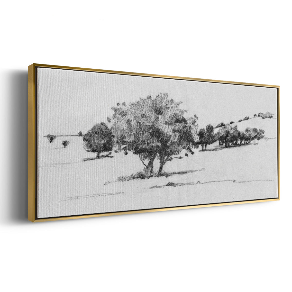 Treeline Sketch I - Floater Framed Canvas Print