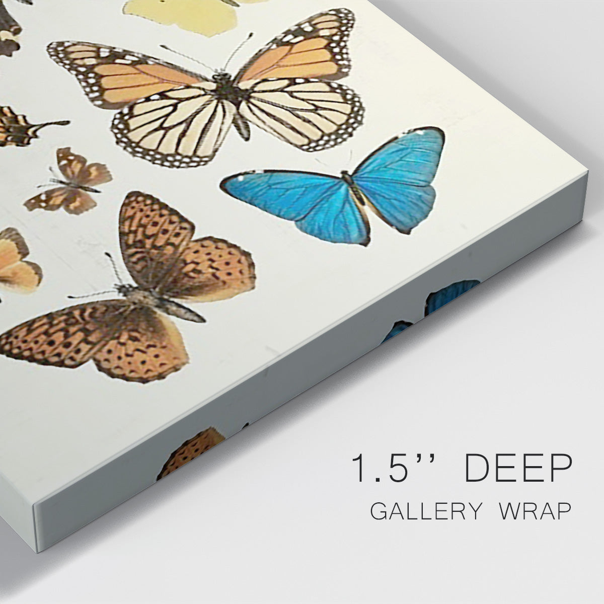 Collected Flutter II Premium Gallery Wrapped Canvas - Ready to Hang