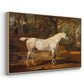 Grey Arabian Stallion, Property of Sir Watkin Williams-Wynn, c. 1817 - Floater Framed Canvas Print