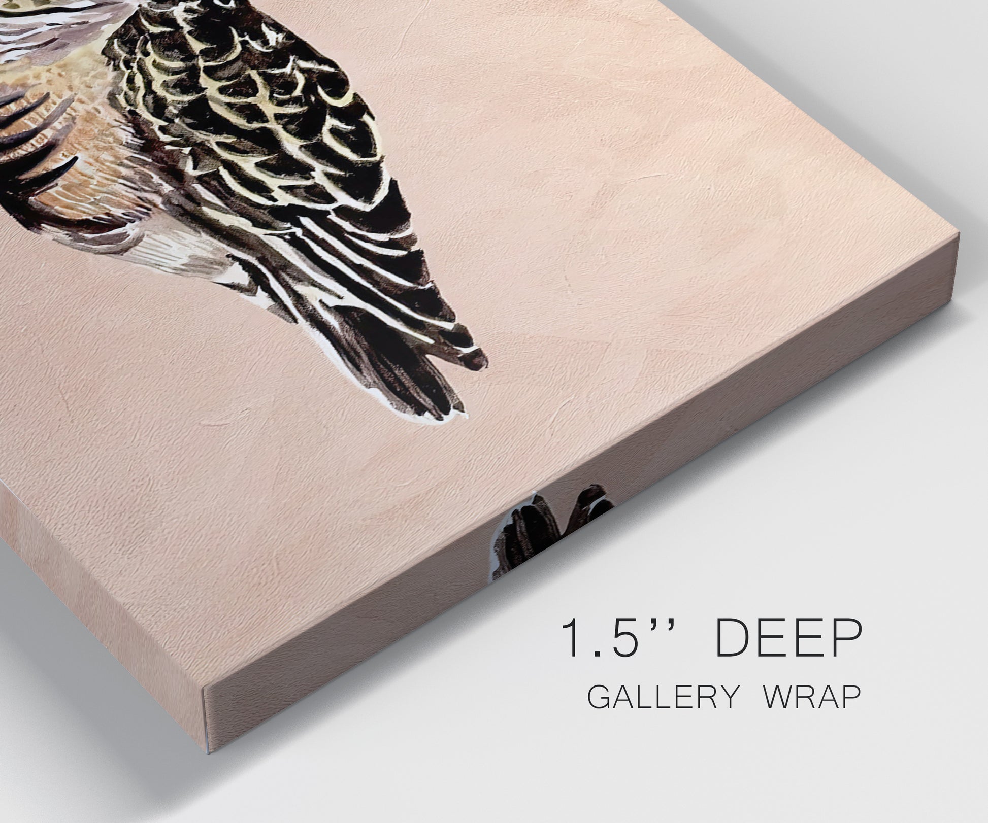 Close-up view of wrapped canvas corner featuring coastal bird illustration.