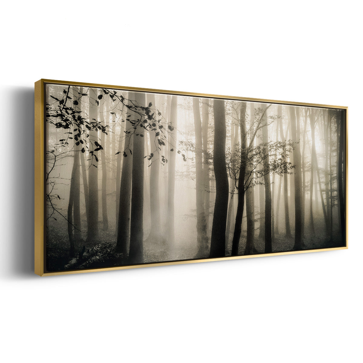 Light is Always There - Floater Framed Canvas Print