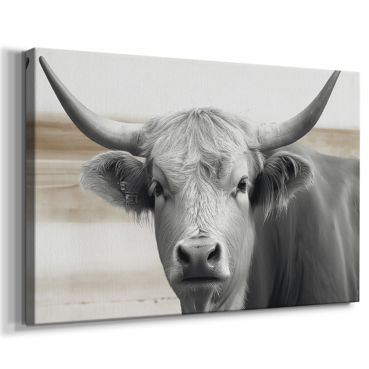 Steer XCI - Canvas Art Print