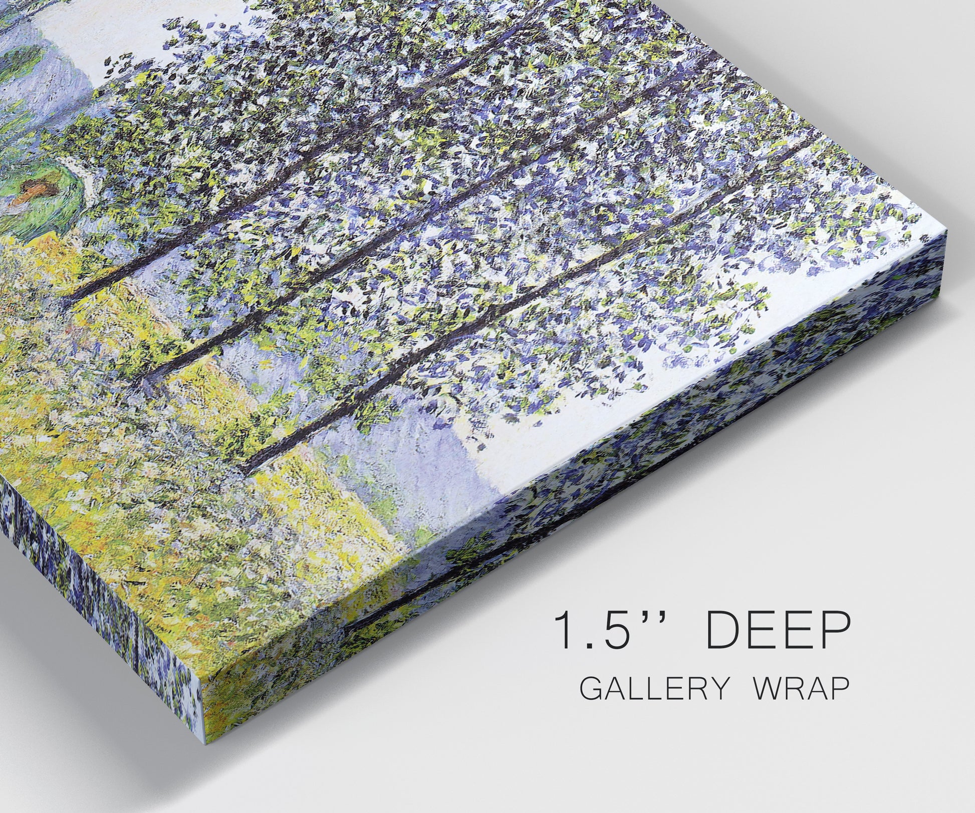 Close-up view of wrapped canvas corner featuring sunlight filtering through tall poplars.