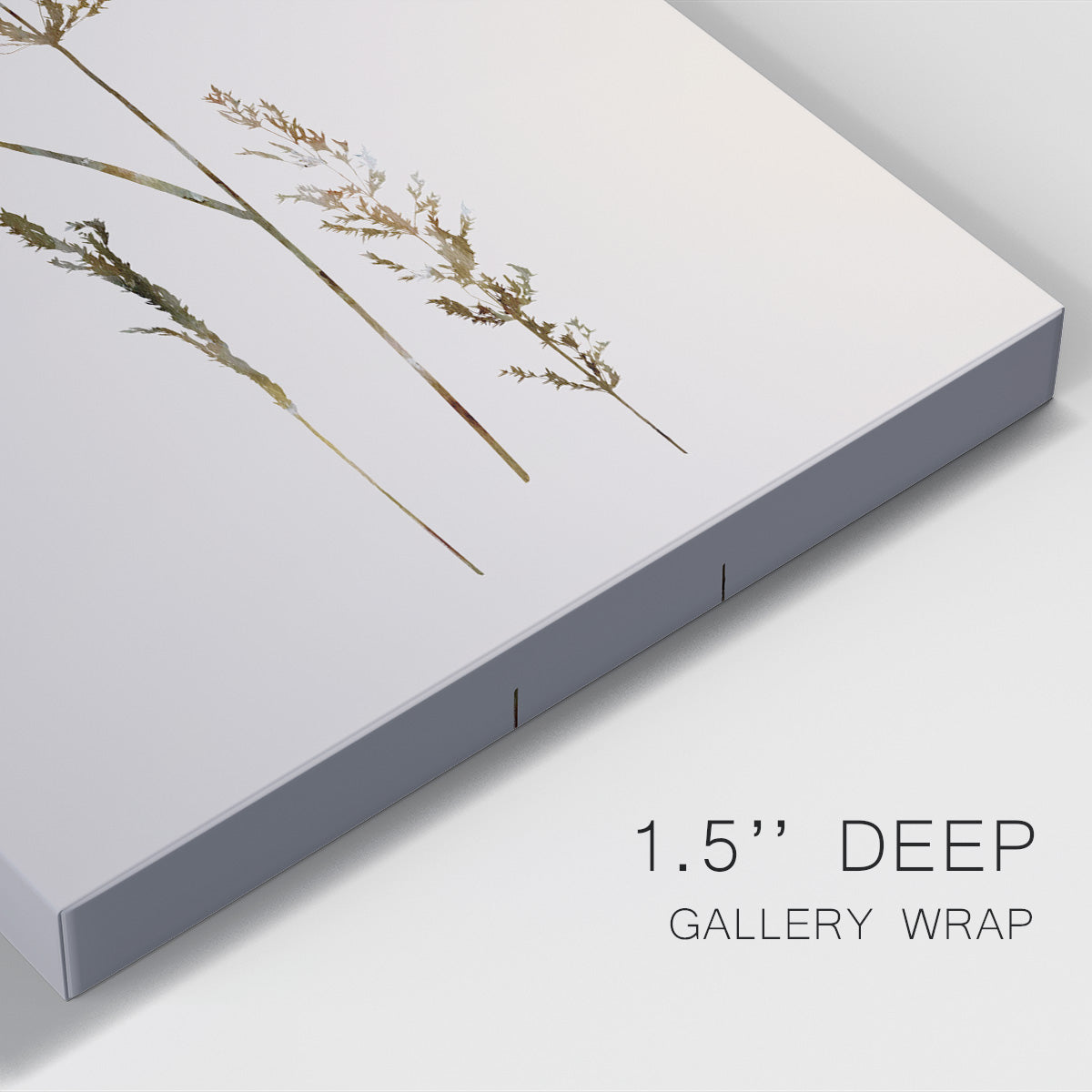 Delicate Stems II - Canvas Art Print